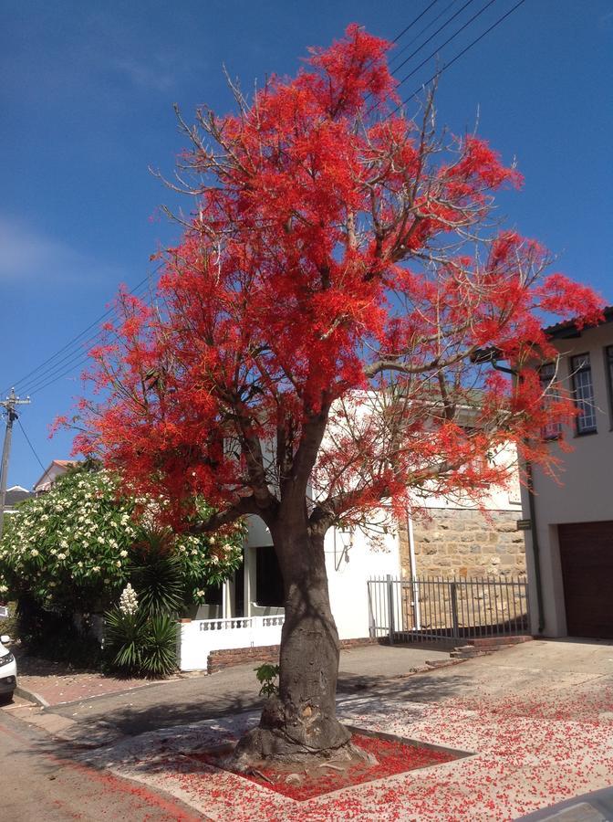 Park House Lodge Mossel Bay Dış mekan fotoğraf